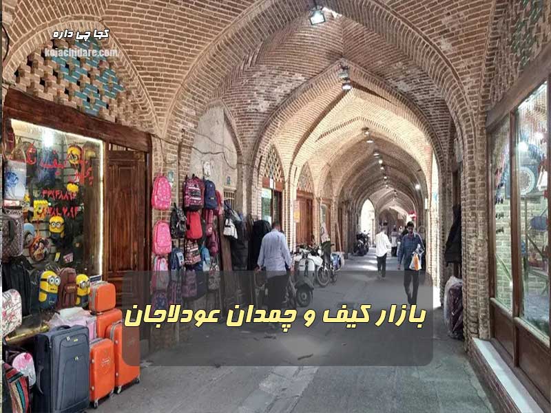 کیف و چمدون عودلاجان