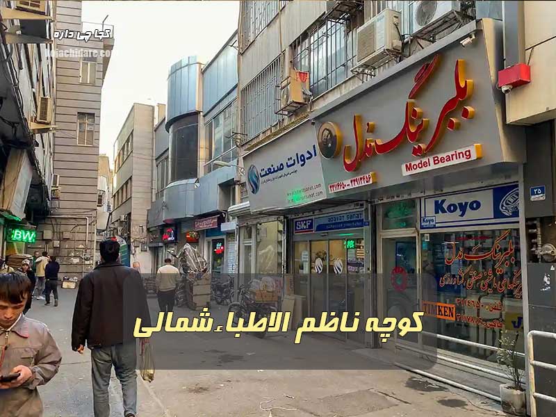 کوچه ناظم الاطباء شمالی
